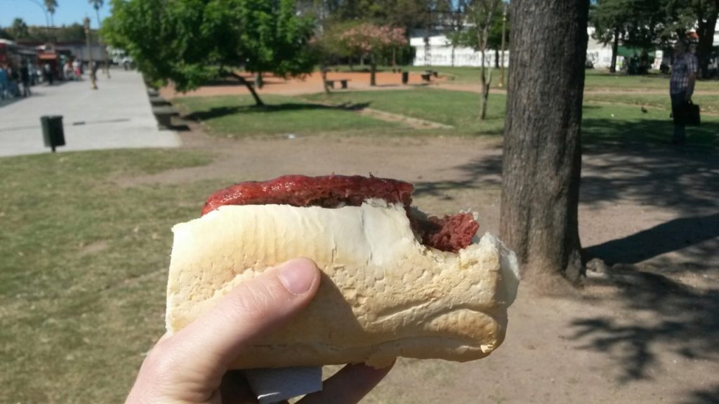 wp-1459448681333 image