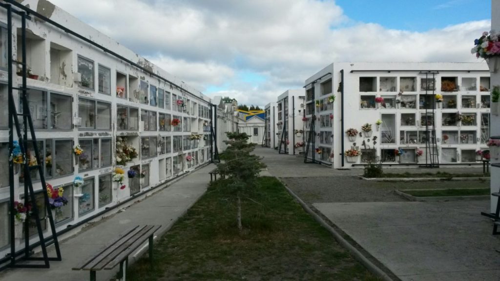 IMG_20160403_140303.jpg image