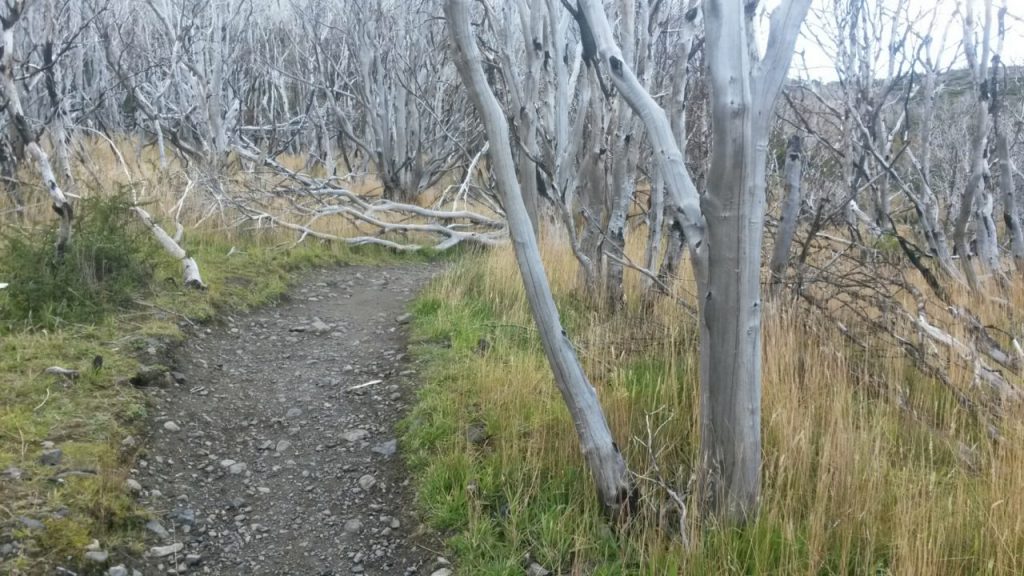 IMG_20160406_150750.jpg image