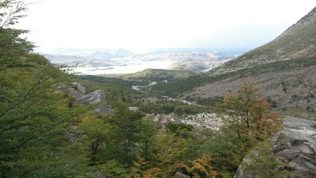 IMG_20160407_094727.jpg image