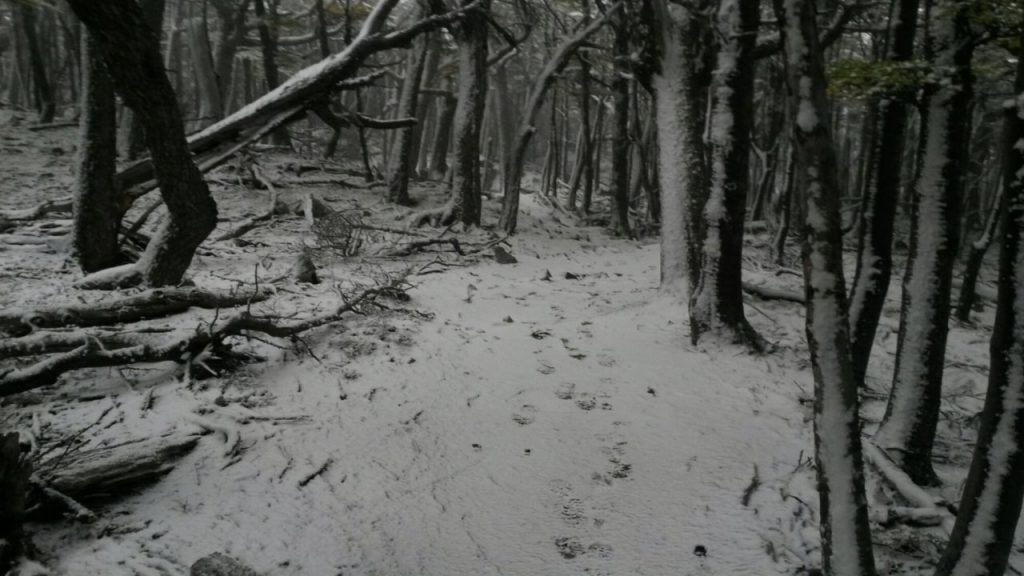 IMG_20160407_113833.jpg image