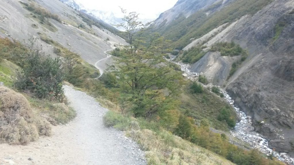 wp-1460305147808 image