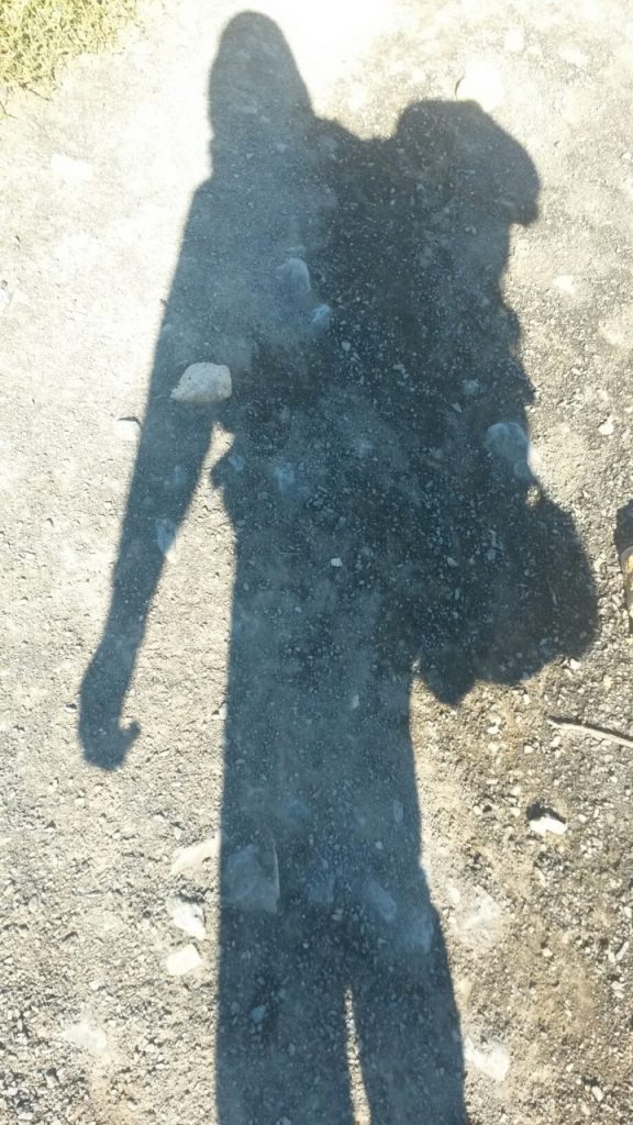 wp-1460305758258 image