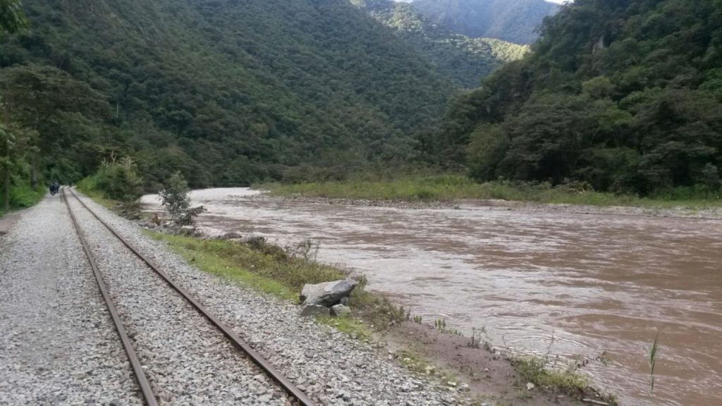 wp-1461759205292 image